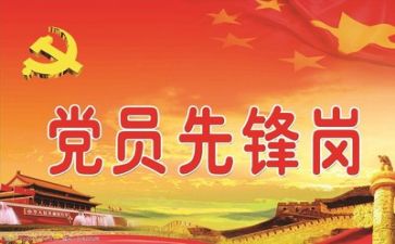 党领导的个人总结模板7篇
