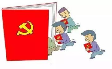 个人总结党支部总结5篇