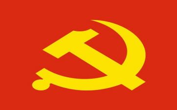 个人总结党支部总结精选5篇