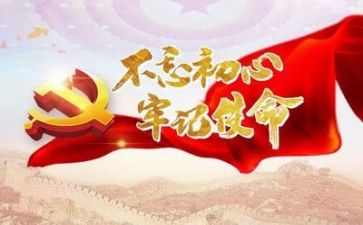 党总结个人总结优秀8篇