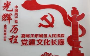 医院党建个人总结范文5篇
