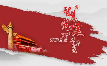 党建设个人总结8篇
