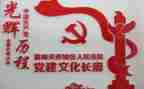 医院党建个人总结范文5篇