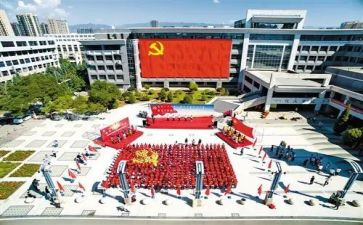 党员的年度工作总结5篇