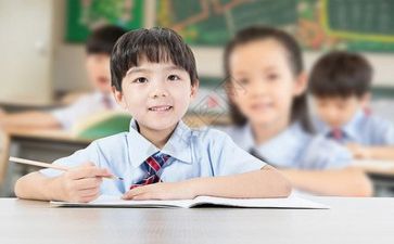 导师的工作计划6篇