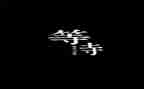 作文我在等待600字5篇