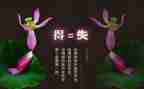 成长中的得与失作文800字精选5篇