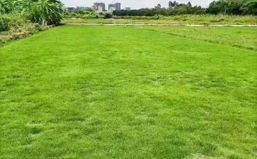 房地产销售年度个人总结参考5篇