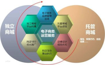 电商试用期转正工作总结5篇