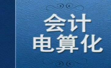 做会计电算化的心得体会5篇