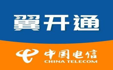 电信年终个人总结7篇