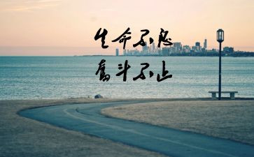 我读懂了老师作文5篇