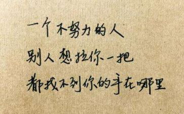 我读懂了母爱作文400字推荐5篇