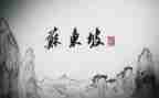 苏东坡的读后感1000字5篇