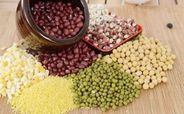 挑豆子作文300字5篇
