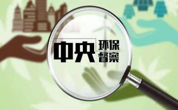督查科个人年度工作总结5篇
