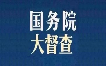 督查科工作总结5篇