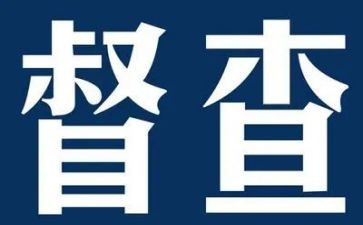 局督察工作计划5篇