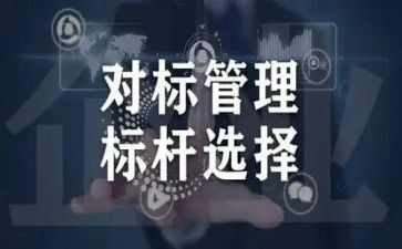 个人对标心得体会优质8篇