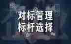 企业对标工作总结模板6篇