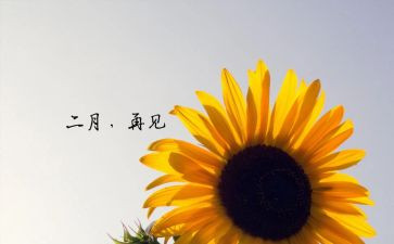 十二月份的工作总结5篇
