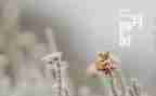 幼儿园十二月份月工作总结7篇