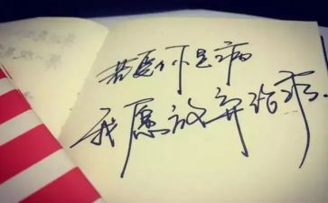 放飞理想的演讲稿600字5篇