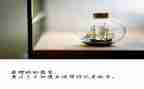幼儿区域材料投放心得体会8篇