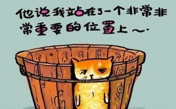 个人总结和反思8篇