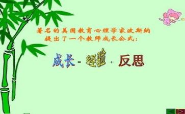 反思式个人总结通用7篇