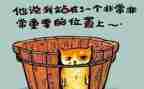 个人总结和反思8篇