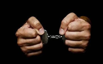 无犯罪证明申请书推荐7篇