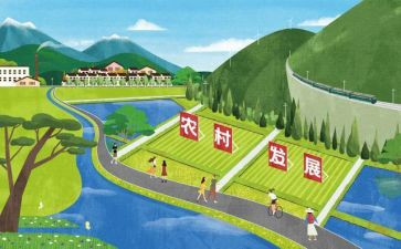 发展报告个人总结6篇