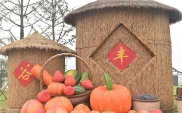 丰收节活动总结7篇