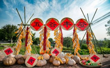 丰收节教案6篇