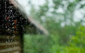 我在风雨中作文最新8篇