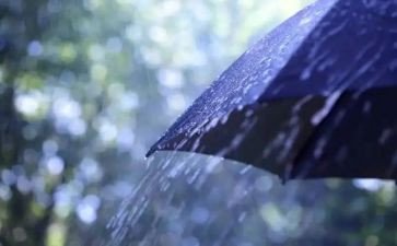 我在风雨中作文5篇