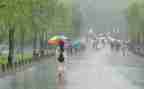风雨的作文400字6篇