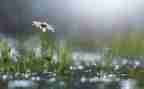 我在风雨中作文推荐7篇