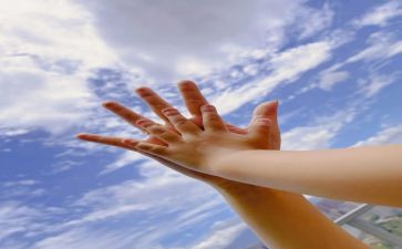 收获与付出的作文优质8篇