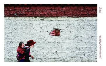 付出收获的作文5篇