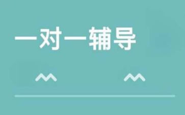 暑假辅导心得8篇