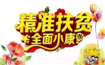 年终扶贫个人总结5篇