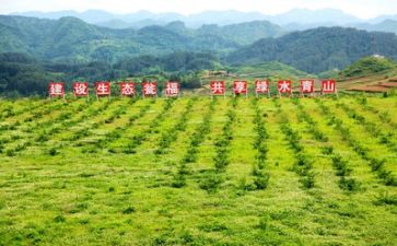 扶贫工作总结个人总结模板6篇