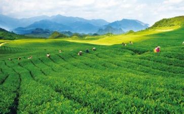 扶贫工作个人工作总结范文6篇