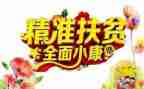 年终扶贫个人总结5篇