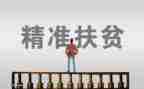 镇巴扶贫工作心得体会5篇