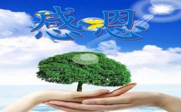 感恩活动总结7篇