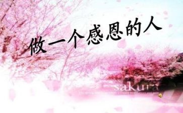 感恩的心得体会优秀7篇
