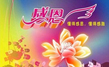 我感恩老师作文400字8篇